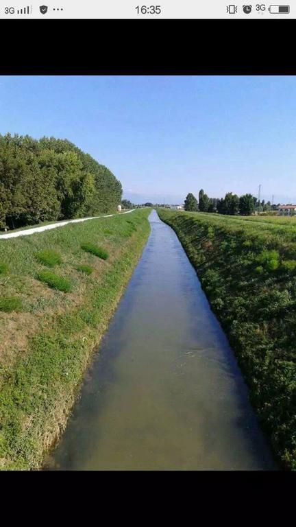 Hotel Summer'S House Castelfranco Veneto Exterior foto